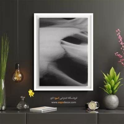 تابلو سیاه سفید طبیعت - نور و سایه – تابلو سیاه و سفید - اسپو دکور