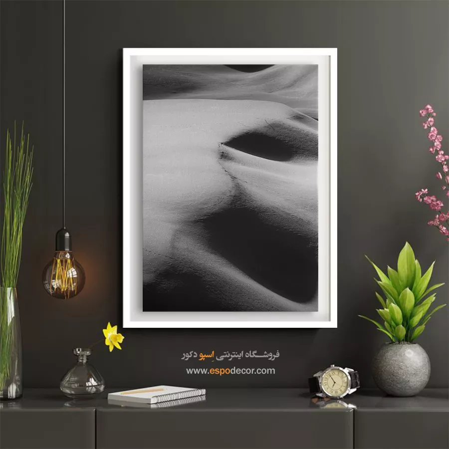 تابلو سیاه سفید طبیعت - نور و سایه – تابلو سیاه و سفید - اسپو دکور