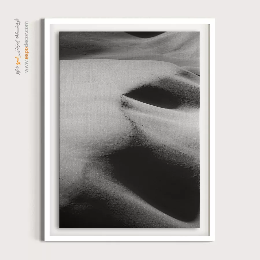 تابلو سیاه سفید طبیعت - نور و سایه – تابلو سیاه و سفید - اسپو دکور