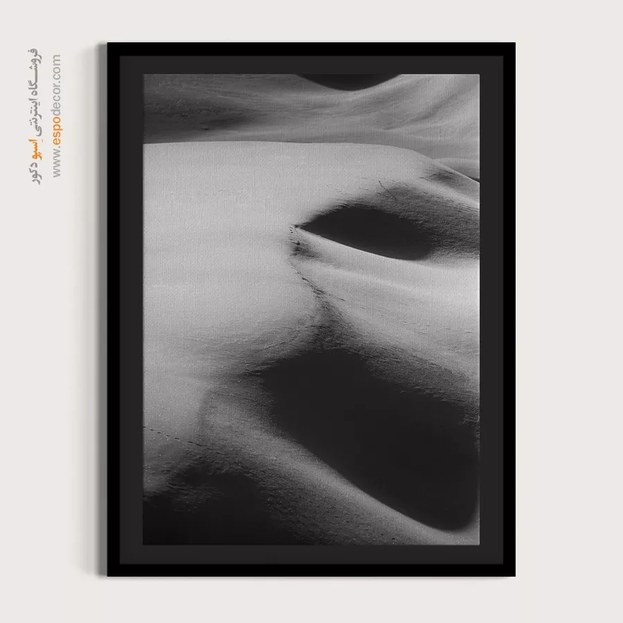 تابلو سیاه سفید طبیعت - نور و سایه – تابلو سیاه و سفید - اسپو دکور