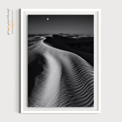 تابلو با طراحی‌های زیبا سیاه و سفید - انعکاس سرد – تابلو سیاه و سفید - اسپو دکور