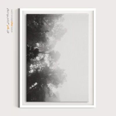 تابلو دیواری زیبا و شیک - وهم – تابلو سیاه و سفید - اسپو دکور