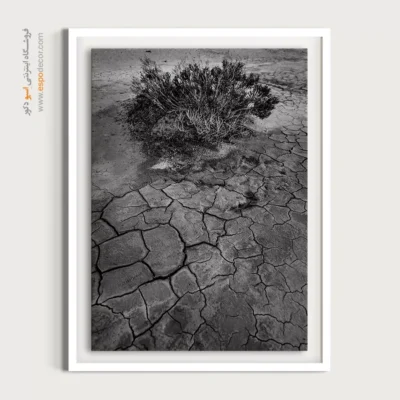 تابلو دیواری با عکس‌های مفهومی - خشک – تابلو سیاه و سفید - اسپو دکور