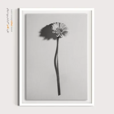 تابلو بوم گل مینیمال - سایه ظریف – تابلو سیاه و سفید - اسپو دکور