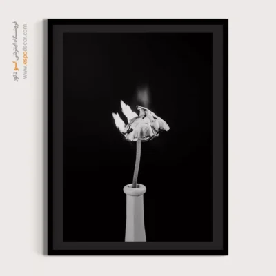 تابلو عکاسی هنری سورئال - احتراق سکوت – تابلو سیاه و سفید - اسپو دکور