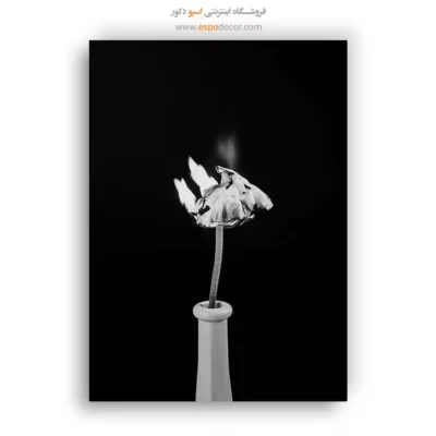 تابلو عکاسی هنری سورئال - احتراق سکوت – تابلو سیاه و سفید - اسپو دکور