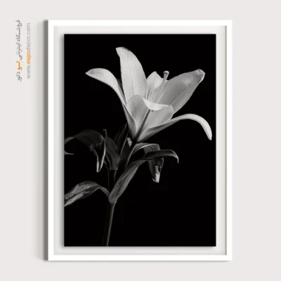 تابلو دکوراتیو لوکس و ظریف - طلوع لیلی – تابلو سیاه و سفید - اسپو دکور