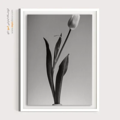 تابلو سیاه و سفید گل - خطوط لاله – تابلو سیاه و سفید - اسپو دکور