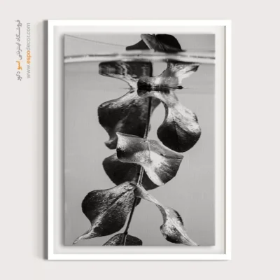 تابلو دکوراتیو آرامش‌بخش - غرق در انعکاس – تابلو سیاه و سفید - اسپو دکور