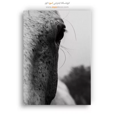 تابلو دکوراتیو طبیعت و حیوان - خطوط حیات – تابلو سیاه و سفید - اسپو دکور