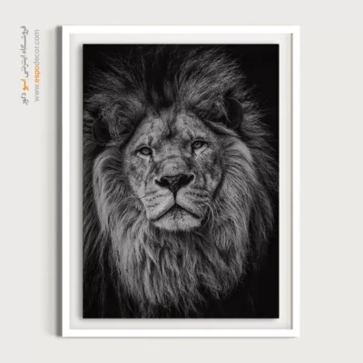 تابلو زیبا از طبیعت وحشی - اقتدار – تابلو سیاه و سفید - اسپو دکور