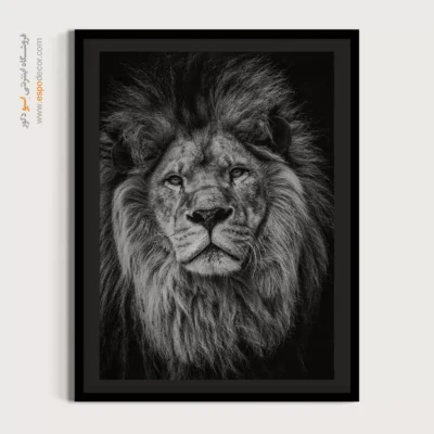 تابلو زیبا از طبیعت وحشی - اقتدار – تابلو سیاه و سفید - اسپو دکور