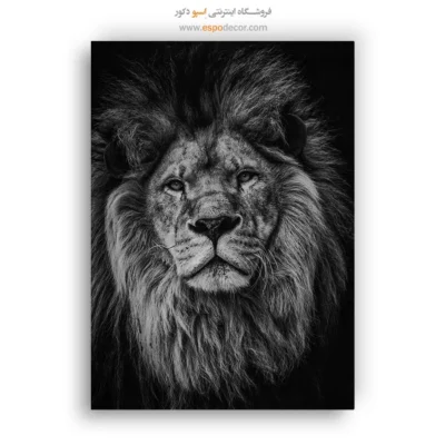 تابلو زیبا از طبیعت وحشی - اقتدار – تابلو سیاه و سفید - اسپو دکور