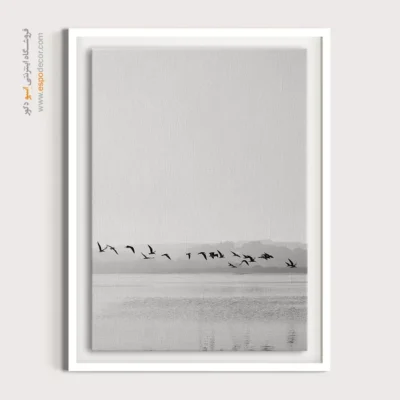 تابلو بوم پرندگان در پرواز - خط پرواز – تابلو سیاه و سفید - اسپو دکور