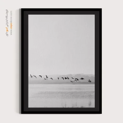 تابلو بوم پرندگان در پرواز - خط پرواز – تابلو سیاه و سفید - اسپو دکور