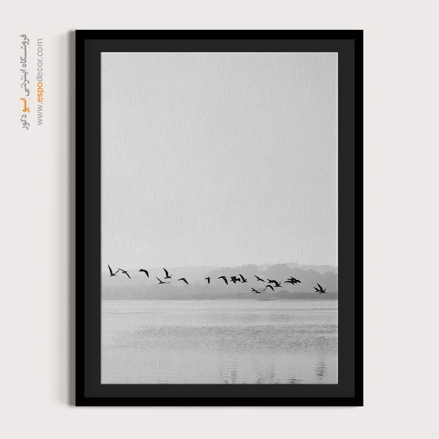تابلو بوم پرندگان در پرواز - خط پرواز – تابلو سیاه و سفید - اسپو دکور