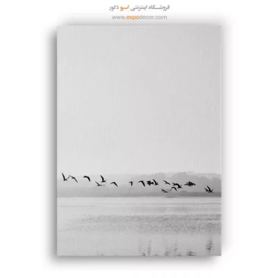 تابلو بوم پرندگان در پرواز - خط پرواز – تابلو سیاه و سفید - اسپو دکور