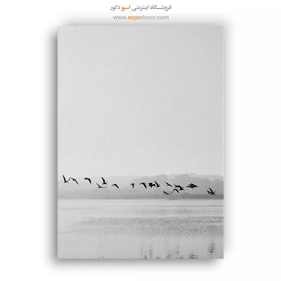 تابلو بوم پرندگان در پرواز - خط پرواز – تابلو سیاه و سفید - اسپو دکور