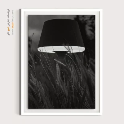 تابلو سیاه و سفید با تضاد طبیعت و مدرنیته - نور در علفزار – تابلو سیاه و سفید - اسپو دکور