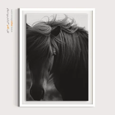 تابلو اسب وحشی - اسب در باد – تابلو سیاه و سفید - اسپو دکور