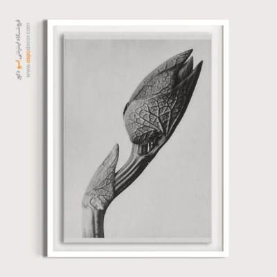 تابلو مینیمال بافت‌دار - جوانه بیدار – تابلو سیاه و سفید - اسپو دکور