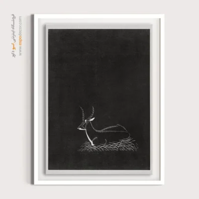 تابلو گرافیكی مینیمال - غزال در تاریکی – تابلو سیاه و سفید - اسپو دکور