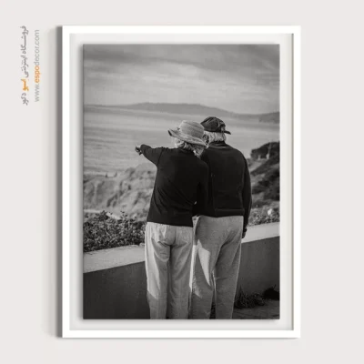 تابلو بوم سیاه سفید - مقصد مشترک – تابلو سیاه و سفید - اسپو دکور