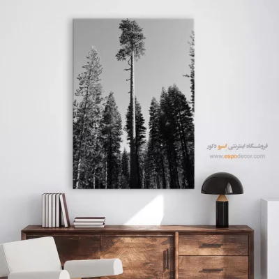 تابلو درخت تنها در جنگل - سر به فلک کشیده – تابلو سیاه و سفید - اسپو دکور