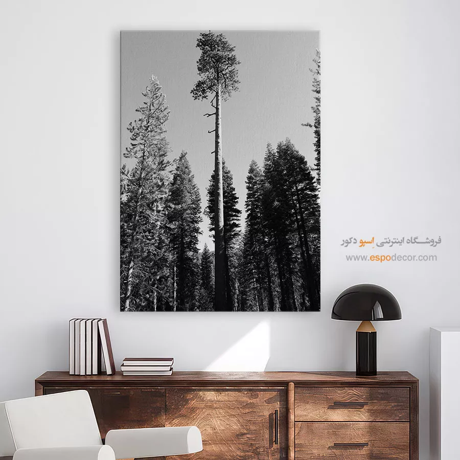 تابلو درخت تنها در جنگل - سر به فلک کشیده – تابلو سیاه و سفید - اسپو دکور