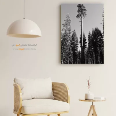 تابلو درخت تنها در جنگل - سر به فلک کشیده – تابلو سیاه و سفید - اسپو دکور