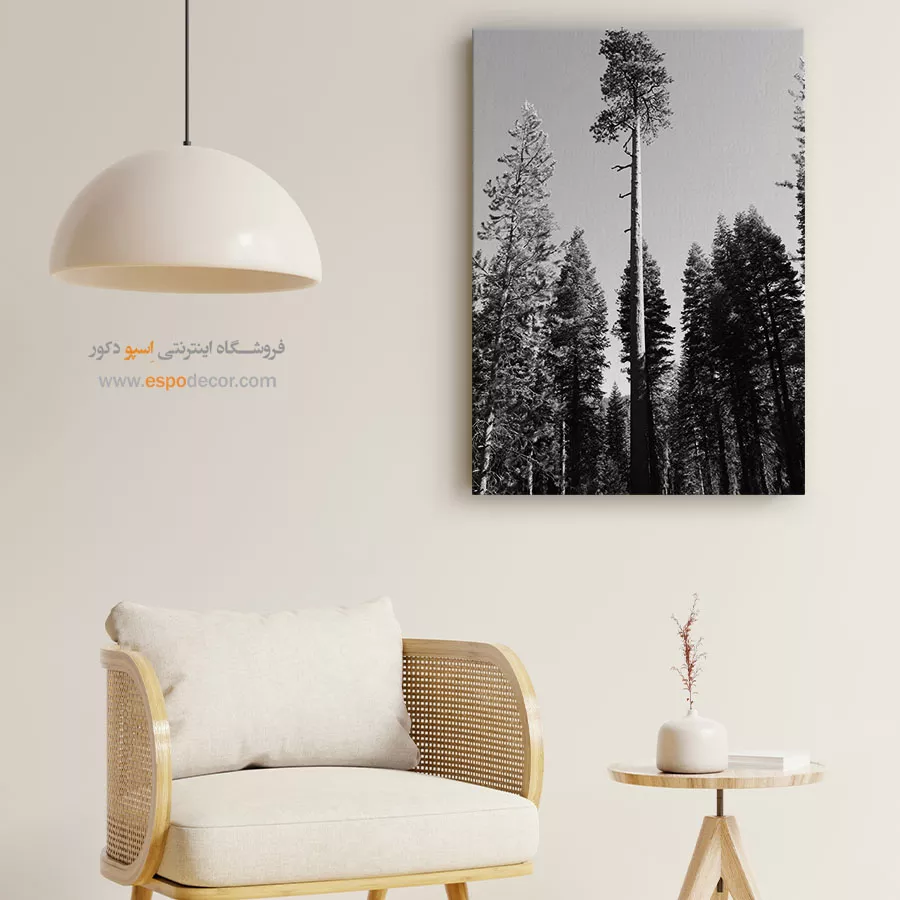 تابلو درخت تنها در جنگل - سر به فلک کشیده – تابلو سیاه و سفید - اسپو دکور