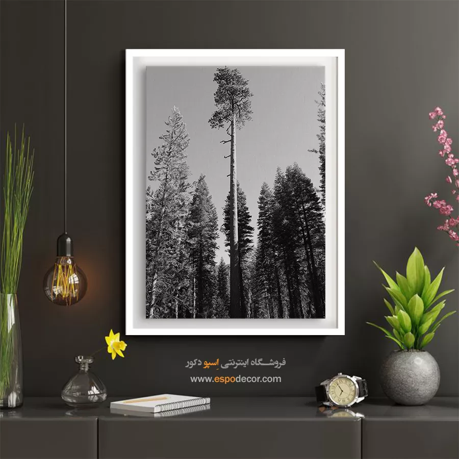 تابلو درخت تنها در جنگل - سر به فلک کشیده – تابلو سیاه و سفید - اسپو دکور
