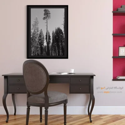 تابلو درخت تنها در جنگل - سر به فلک کشیده – تابلو سیاه و سفید - اسپو دکور