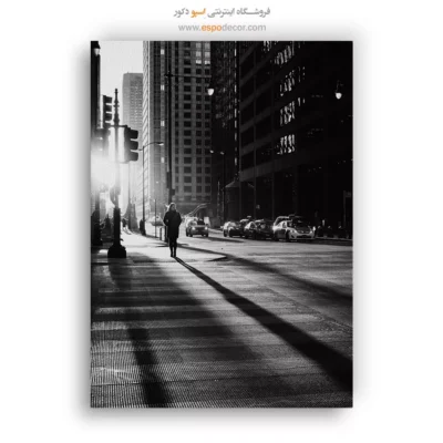 تابلو برای دفاتر کار - تنها در شهر – تابلو سیاه و سفید - اسپو دکور