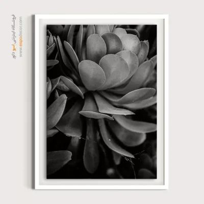 تابلو طبیعت و گیاه - لایه‌های آرامش – تابلو سیاه و سفید - اسپو دکور