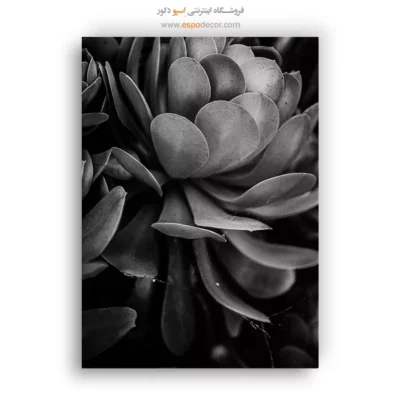 تابلو طبیعت و گیاه - لایه‌های آرامش – تابلو سیاه و سفید - اسپو دکور