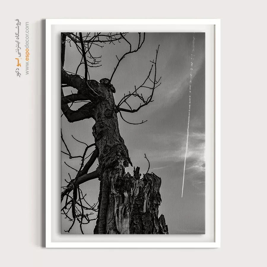 چاپ تابلو روی بوم مدرن - شاه درخت – تابلو سیاه و سفید - اسپو دکور