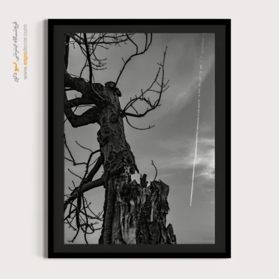 چاپ تابلو روی بوم مدرن - شاه درخت – تابلو سیاه و سفید - اسپو دکور