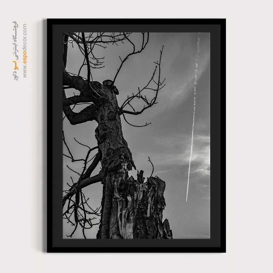 چاپ تابلو روی بوم مدرن - شاه درخت – تابلو سیاه و سفید - اسپو دکور