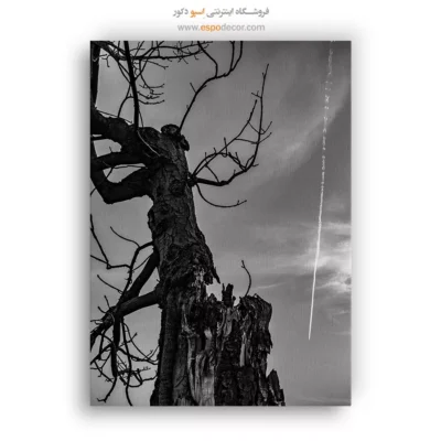 چاپ تابلو روی بوم مدرن - شاه درخت – تابلو سیاه و سفید - اسپو دکور