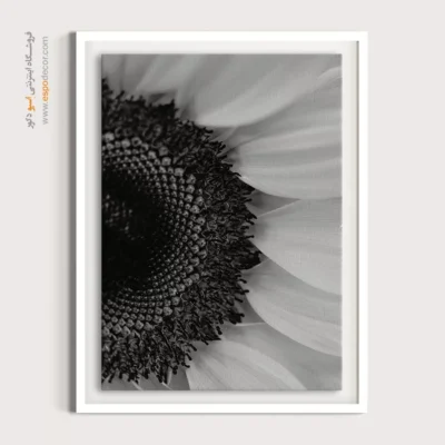 تابلو گل آفتابگردان سیاه سفید - قلب خورشید – تابلو سیاه و سفید - اسپو دکور