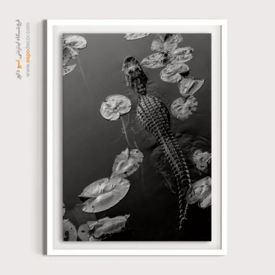 تابلو بوم هنری انتزاعی - شکارچی پنهان – تابلو سیاه و سفید - اسپو دکور