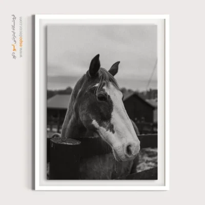 دکوراسیون مزرعه‌ای و روستیک - سکوت نجیب – تابلو سیاه و سفید - اسپو دکور