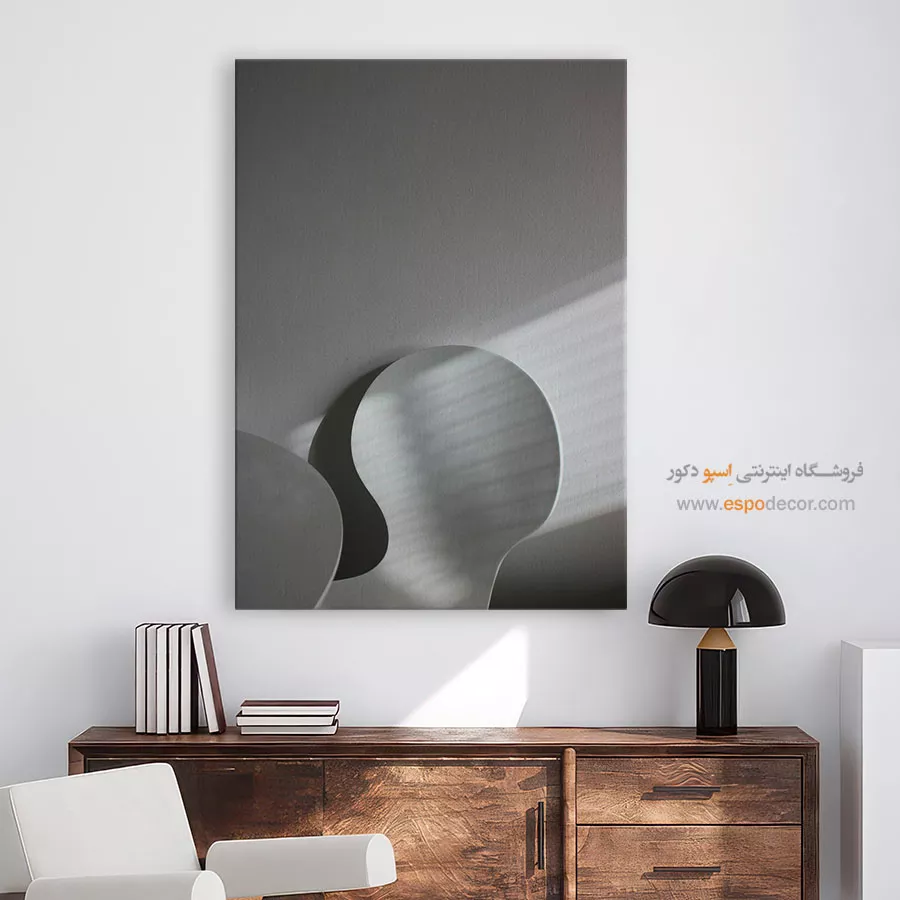 تابلو مینیمالیسم نور و سایه - منحنی – تابلو سیاه و سفید - اسپو دکور