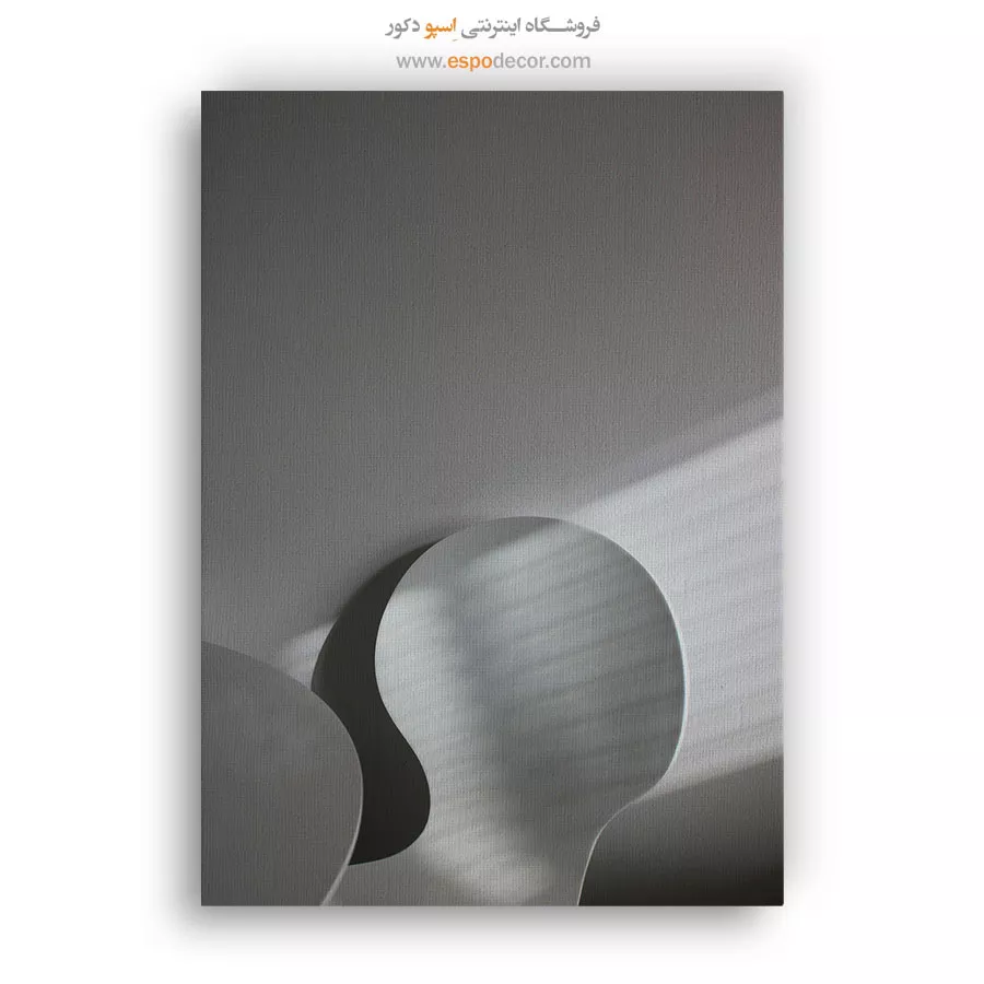 تابلو مینیمالیسم نور و سایه - منحنی – تابلو سیاه و سفید - اسپو دکور