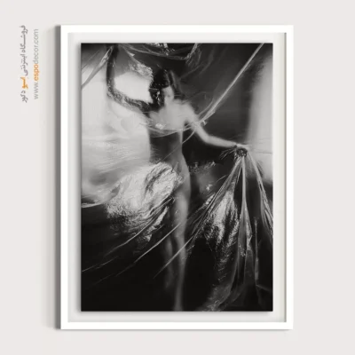 تابلو هنری آوانگارد - حصار شفاف – تابلو سیاه و سفید - اسپو دکور