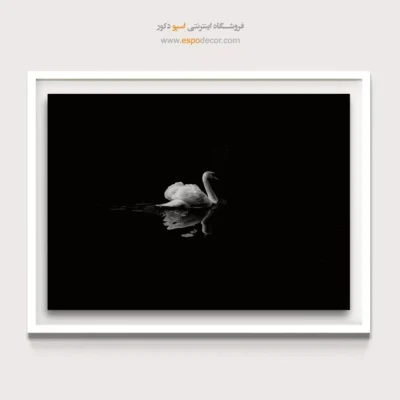 تابلو مینیمال با حس آرامش - انعکاس قو – تابلو سیاه و سفید - اسپو دکور