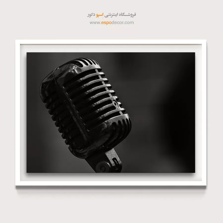 تابلو میکروفون کلاسیک سیاه و سفید - صدای فلزی – تابلو سیاه و سفید - اسپو دکور