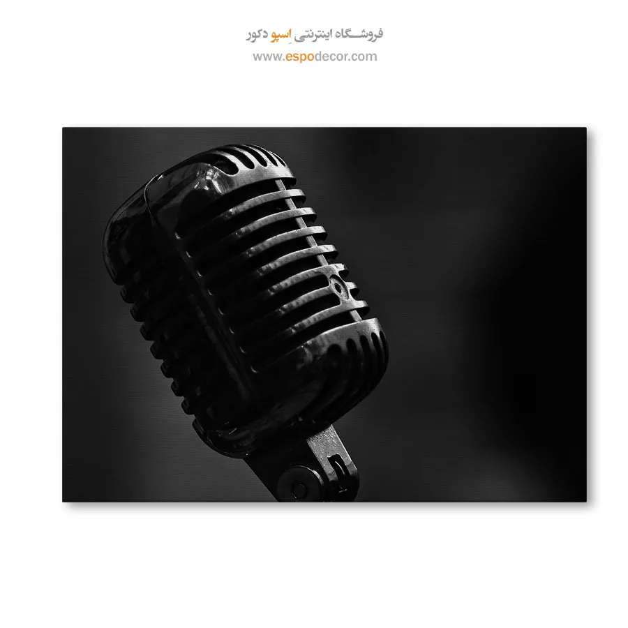 تابلو میکروفون کلاسیک سیاه و سفید - صدای فلزی – تابلو سیاه و سفید - اسپو دکور