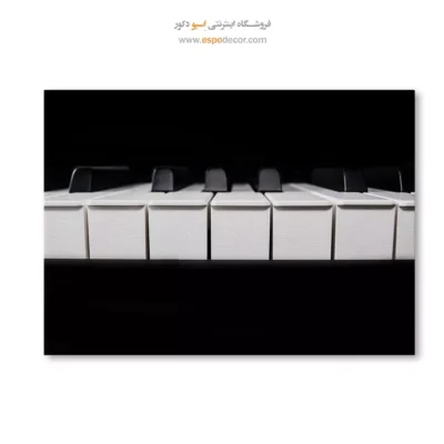 تابلو برای استودیو - ریتمیک – تابلو سیاه و سفید - اسپو دکور